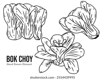 Bok Choy vegetables with several different hand drawings and are suitable for ornamental designs for packaging, food, menus, and others