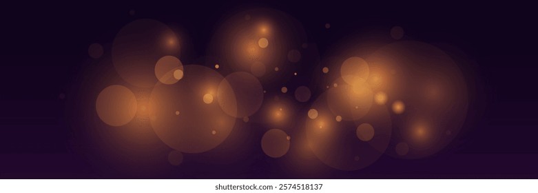 Bokeh light effect, flash of light and glitter of dust.