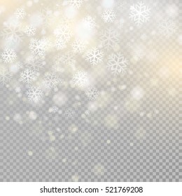 Bokeh light gray sparkles on transparency background Glowing particles element for special effects. Christmas Vector illustration EPS10