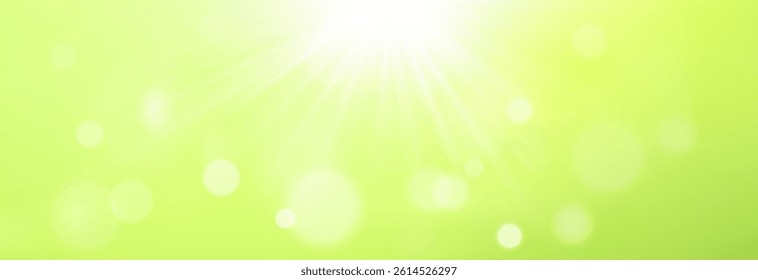 Bokeh on green background.Summer background.Natural green bokeh.Light effect.