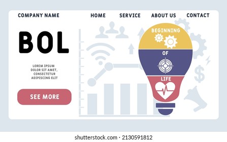 BOL - Beginning of Life acronym. business concept background. vector illustration concept with keywords and icons. lettering illustration with icons for web banner, flyer, landing pag