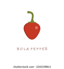 bola pepper flat design vector illustration