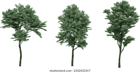 Bold and Beautiful Tree Stunning Greenery, transparent background, 3D rendering, for illustration, digital composition and architecture visualization