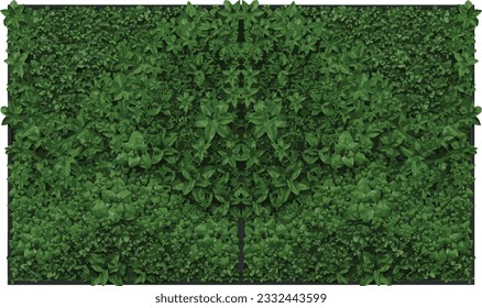 Bold and Beautiful wall creeper Stunning Greenery, transparent background, 3D rendering, for illustration, digital composition and architecture visualization