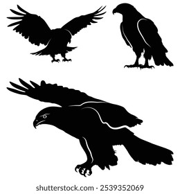 Silueta de águila negra audaz o diseño de logotipo