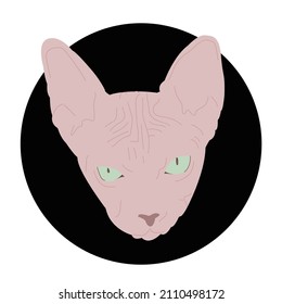 Bold Cat Icon Or Background