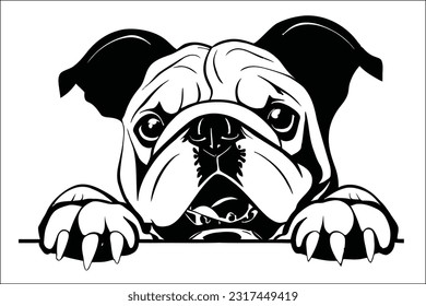 Bold and charming, a Bulldog's captivating head peeks in, showcasing its iconic wrinkles and expressive eyes. This EPS file encapsulates the unique personality of this beloved breed