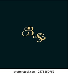bold concept design elegant and curvy style monogram BS wedding logo initial letter
