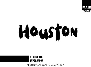 Negrito Grunge E Escova Áspero Texto Tipografia Do Nome Do Menino Do Bebê Houston