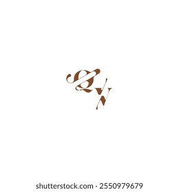 bold and hairline initial wedding logo concept QV elegant curve monogram letter
