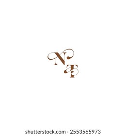 bold and hairline initial wedding logo concept NT elegant curve monogram letter