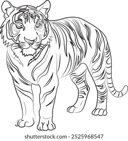 Bold line art of a fierce tiger, showcasing this powerful stance and intricate stripe patterns, ideal for wildlife-themed designs and illustration. 