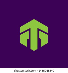 A bold and minimalist vector logo combining the letters M and T within a symmetrical hexagonal shape. The design features a prominent upward-pointing arrow integrated into the negative space, symbolizing growth, progress, and peak performance. Presented in a vibrant lime green on a deep purple background, this professional emblem is ideal for tech startups, construction firms, logistics companies, and fitness brands.