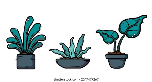 Bold outline plant on pot for sticker and decoration 2