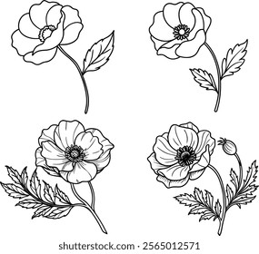 Bold Poppy Line Art Vector