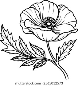 Bold Poppy Line Art Vector