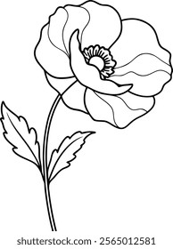 Bold Poppy Line Art Vector