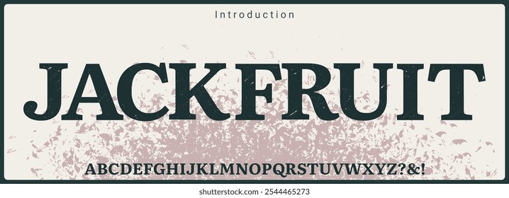 Bold serif typeface vector font. Alphabet vector font with texture and rough style. 
