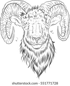 A bold vector tattoo design of a ram's head, featuring intricate details and sharp lines. The design symbolizes strength, determination, and power, with a modern, geometric style that adds a fierce