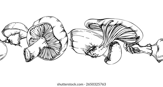 Bolete cep russula suillus cogumelo fungo, outono colheita florestal, ingrediente comestível cru para cozinha vegan. Mão de cabeçalho de banner sem costura desenhada em tinta vetorial. Destaques da lista de menus, embalagem do mercado dos agricultores
