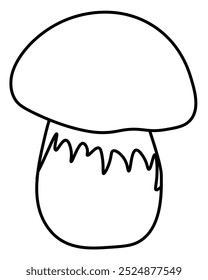 Bolete mushroom popular edible mushroom outline, element growing in forest vector illustration for coloring page