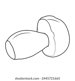 Bolete Mushrooms. Hand drawn Line art. Black and white isolated on white background. Coloring page for kids and adults. Vector illustration.