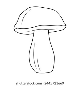 Bolete Mushrooms. Hand drawn Line art. Black and white isolated on white background. Coloring page for kids and adults. Vector illustration.