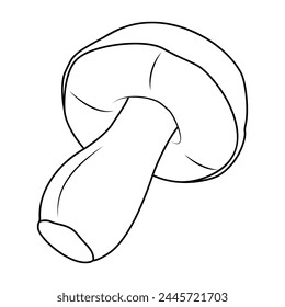 Bolete Mushrooms. Hand drawn Line art. Black and white isolated on white background. Coloring page for kids and adults. Vector illustration.