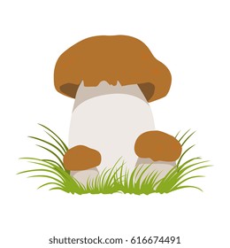 Boletus, autumn cep, edible forest mushrooms. Colorful cartoon illustration