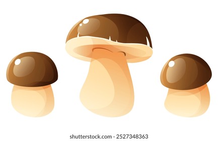 Boletus, autumn harvest, forest mushrooms. Brown cap, white stem, edible mushroom. Elements of autumn, forest design, for postcards, posters, children's books.