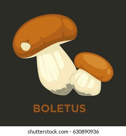 Boletus cep or porcini edible mushroom isolated flat vector icon