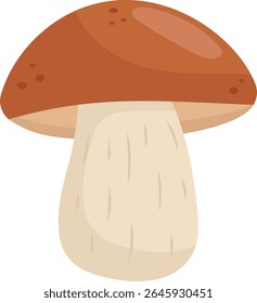 Boletus cogumelo comestível. Fungos florestais de outono. Ilustração vetorial isolada sobre fundo branco.