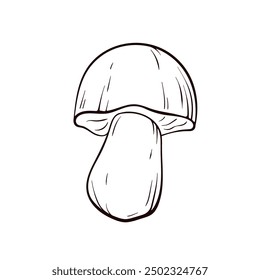 Boletus edible Mushroom icon in line art style. October and autumn design for food and vegetable store. Hand drawn vector illustration isolated on a white background.