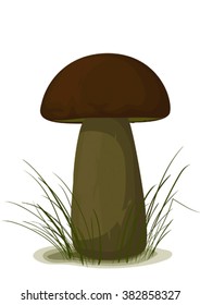 Boletus edulis