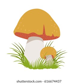 Boletus edulis, edible forest mushrooms. Colorful cartoon illustration