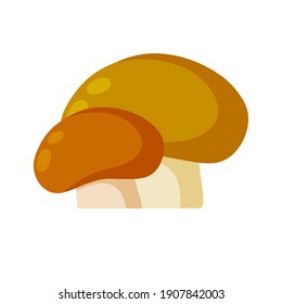 Boletus edulis. Mushroom with a brown cap. Natural product from the forest. Eco-friendly food. Flat cartoon illustration