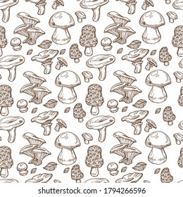 Boletus edulis seamless pattern of mushrooms of different types. Organic ingredient for cooking and dishes preparation. Fungi edible, vegetable for vegans. Monochrome sketch outline, vector in flat