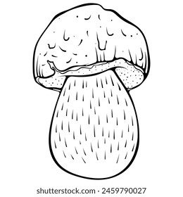 Pilz-Pilz. Wald Herbst essbarer Pilz. Vektorillustration im handgezeichneten Skizze-Doodle-Stil. Line Art Grafik gesunde vegetarische Nahrung isoliert auf weiß. Design für Malbuch