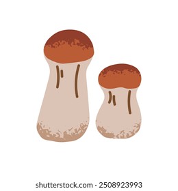 Boletus icon. Edible mushrooms in hand drawn style. Autumn bolete, raw fungus for food, eating. Autumnal forest harvest. Fall woodland nature. Flat isolated vector illustration on white background