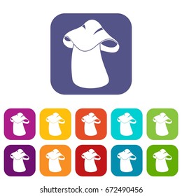 Boletus icons set vector illustration in flat style In colors red, blue, green and other