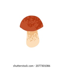 Boletus mushroom. Autumn forest fungus, porcini. Edible fungi with brown cap and stalk. Fall food. Colored flat vector illustration isolated on white background