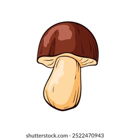 Boletus mushroom with a brown cap and beige stem in cartoon style. Design for culinary project, nature themed and educational materials on fungi and plants.