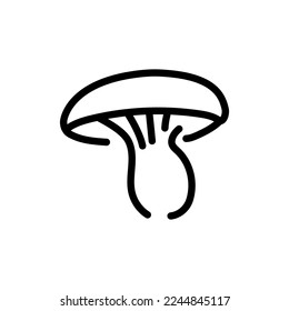 Boletus mushroom color line icon. Cooking ingredient. Pictogram for web page, mobile app, promo.