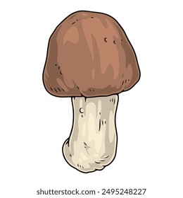 Boletus mushroom detailed logotype colorful with small mushroom from autumn meadow for design of harvest magazines vector illustration