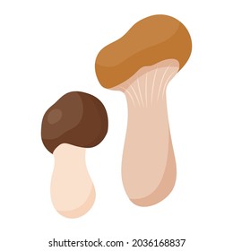 Boletus mushroom in flat style. Hand drawn vector illustration of edible wild forest mushroom. Autumn symbol, organic food icon. Isolated element for design