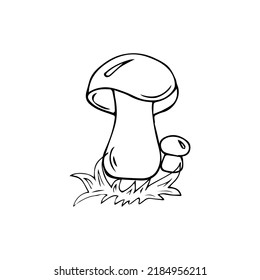 Boletus mushroom in the grass, contour illustration, coloring page, handmade.