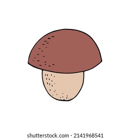 boletus mushroom hand drawn in doodle style 