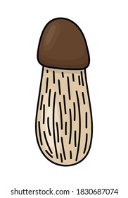 BOLETUS MUSHROOM ON A WHITE BACKGROUND IN VECTOR