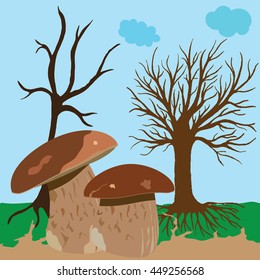 Boletus mushroom with trees