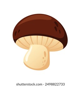 Boletus mushroom. Vector champignon mushroom on a white background. Vector illustration of brown mushroom